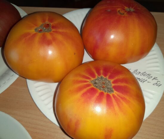 Гном Завиток Удачи